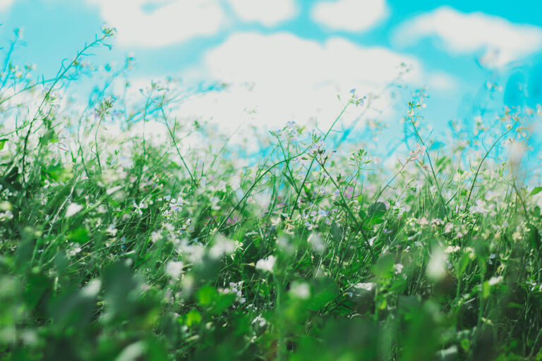 allef-vinicius-unsplash