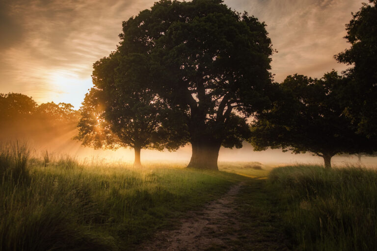 simon-wilkes-unsplash