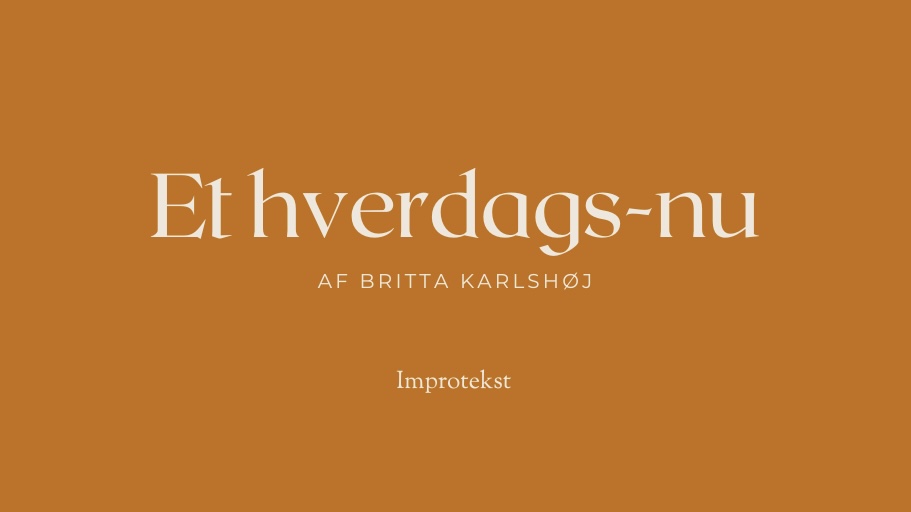 Et hverdags-nu af Britta Karlshøj_Layout_CharlotteToft