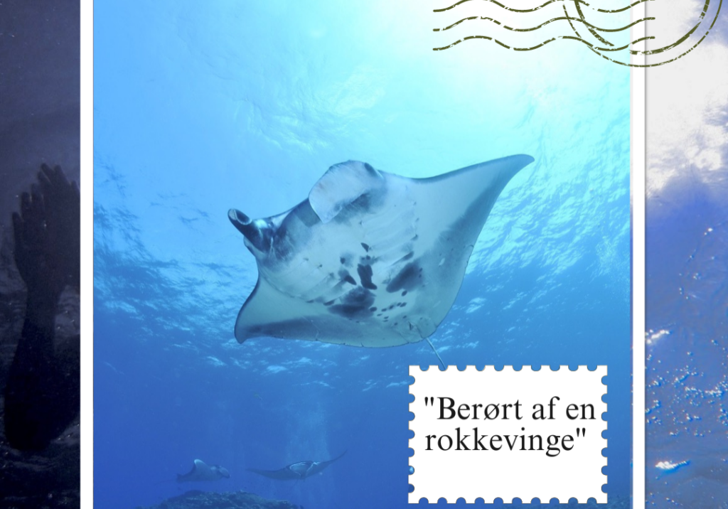 Postkort: Berørt af en rokkevinge_Line Fjord