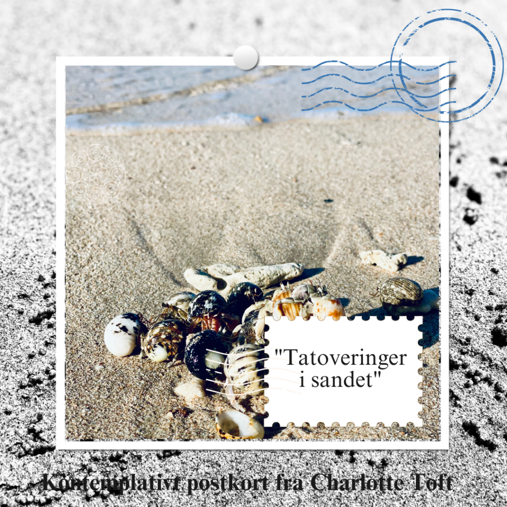 Postkort: Tatoveringer i sandet_Charlotte Toft