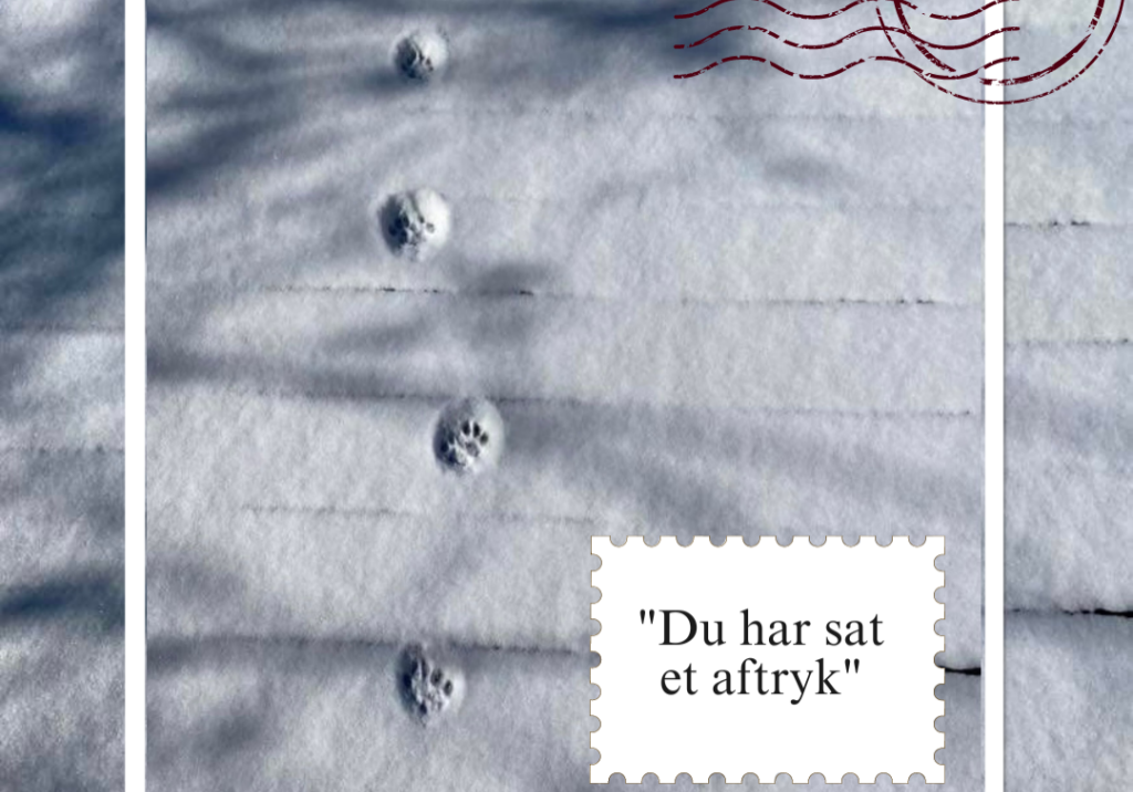 Postkort: Du har sat et aftryk_Hanne Linde