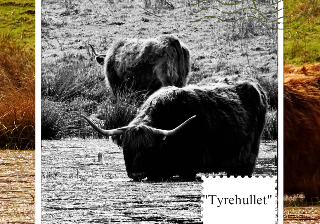 Postkort: Tyrehullet_Lasse . Foto: MIchael M/Unsplash