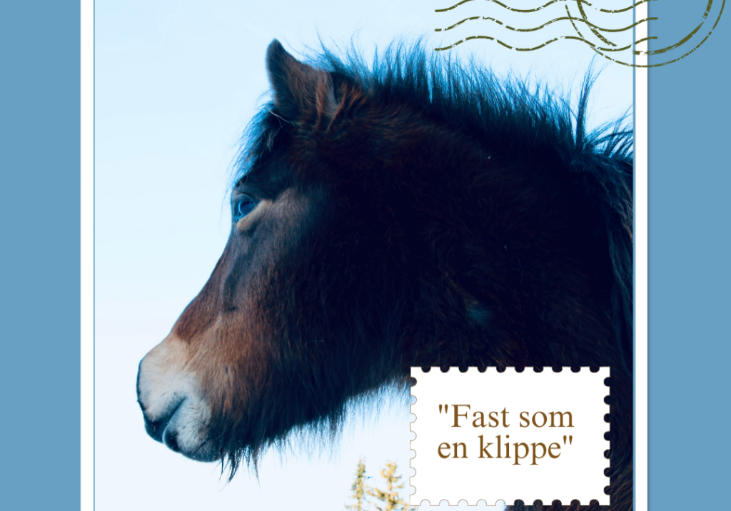 Postkort: Fast som en klippe_Anne Rosenvold