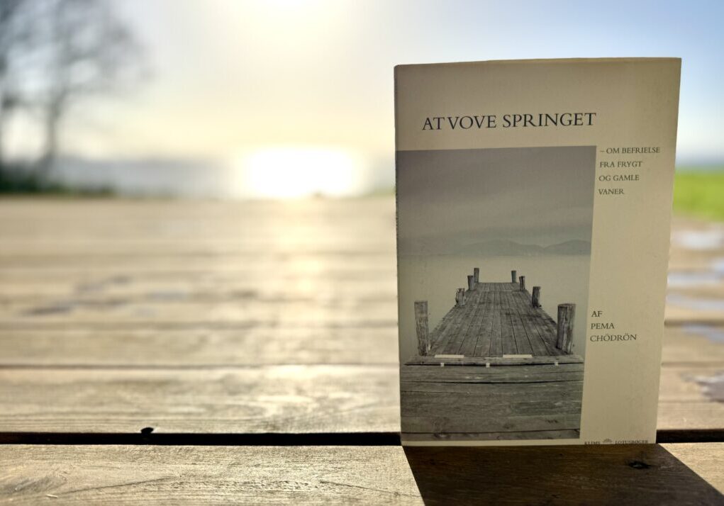 Bogomtale: At vove springet af pema Chödrön