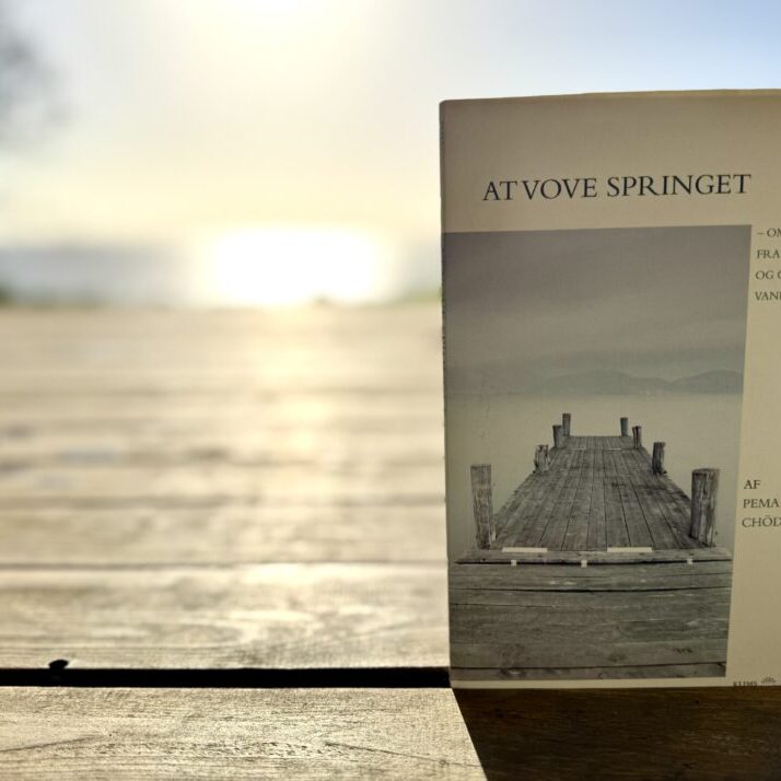 Bogomtale: At vove springet af pema Chödrön