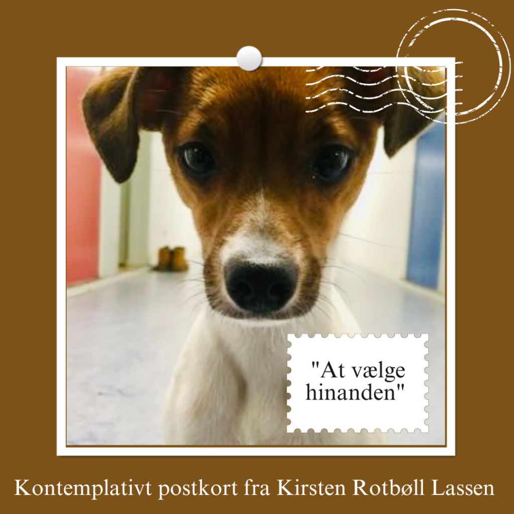 Postkort: At vælge hinanden_Kirsten Rotbøll Lassen