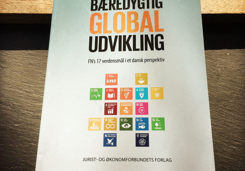 Bæredygtig global udvikling_bogomslag