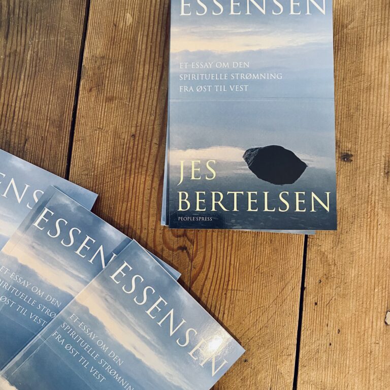 Essensen_Jes Bertelsen_Indblik