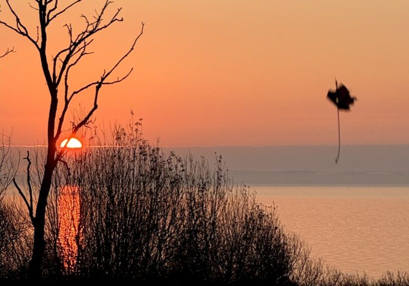 Nuet Limfjorden beskåret foto Charlotte Toft