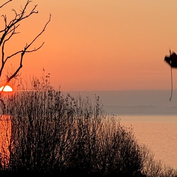 Nuet Limfjorden beskåret foto Charlotte Toft