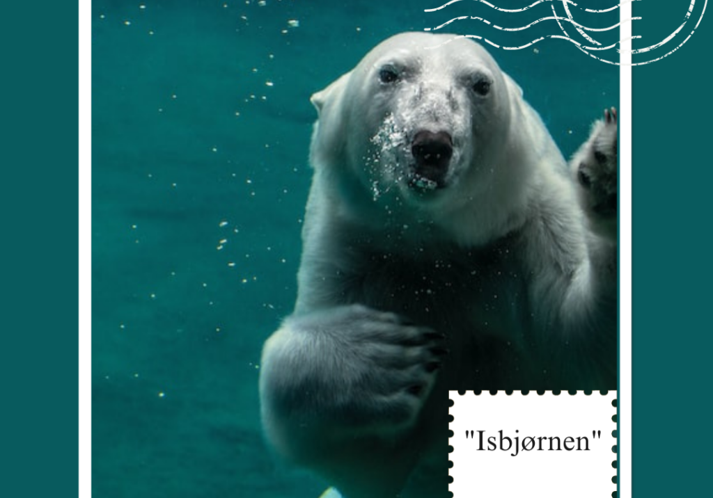 IsbjørnenGabrieleTorma