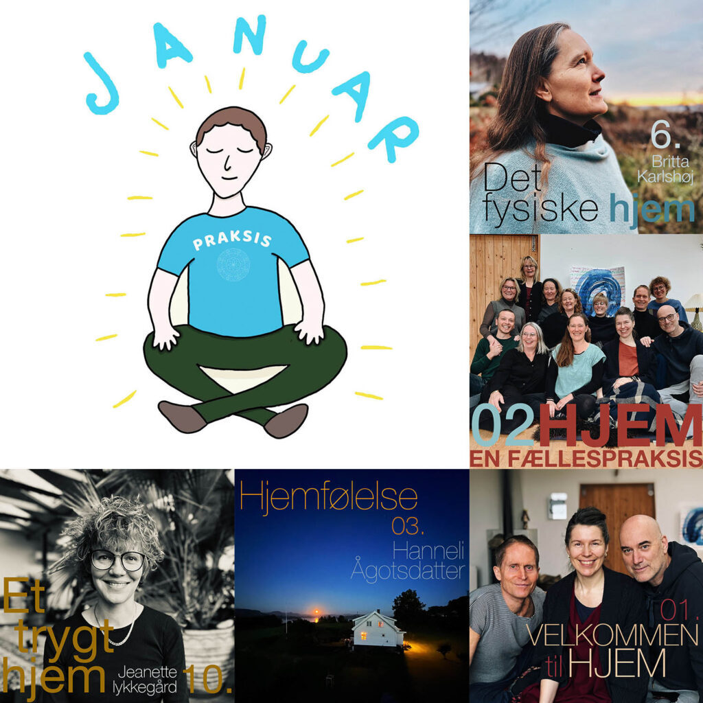 Mosaik af billeder fra januarpraksis