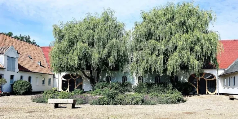Vækstcenteret5b