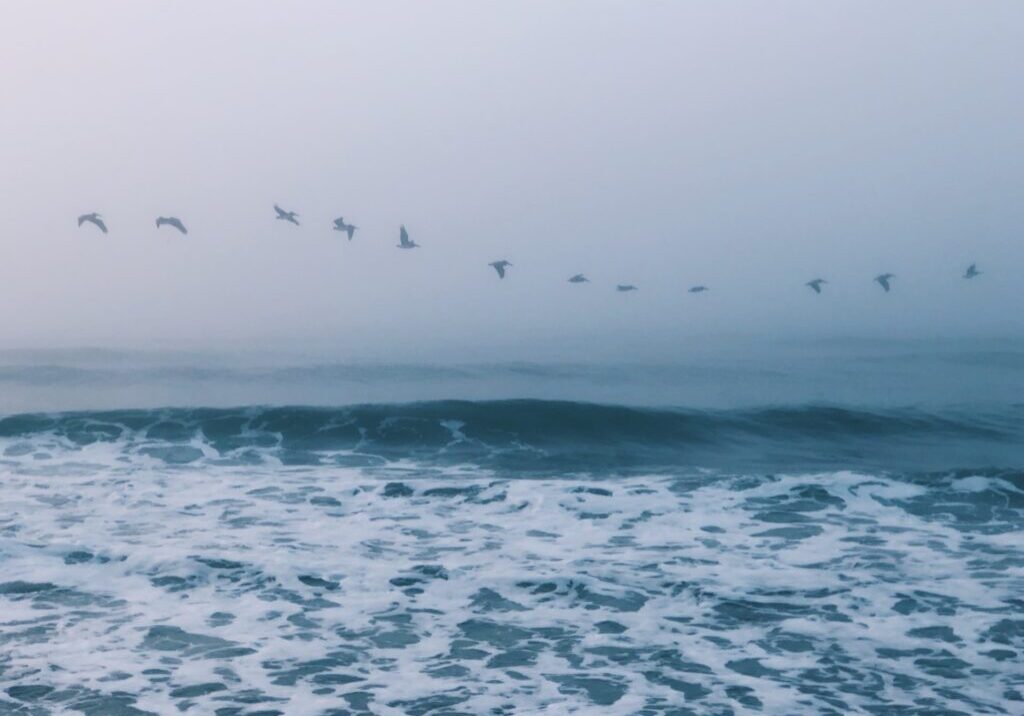 aaron-burden-7YiqRskXZ10-unsplash