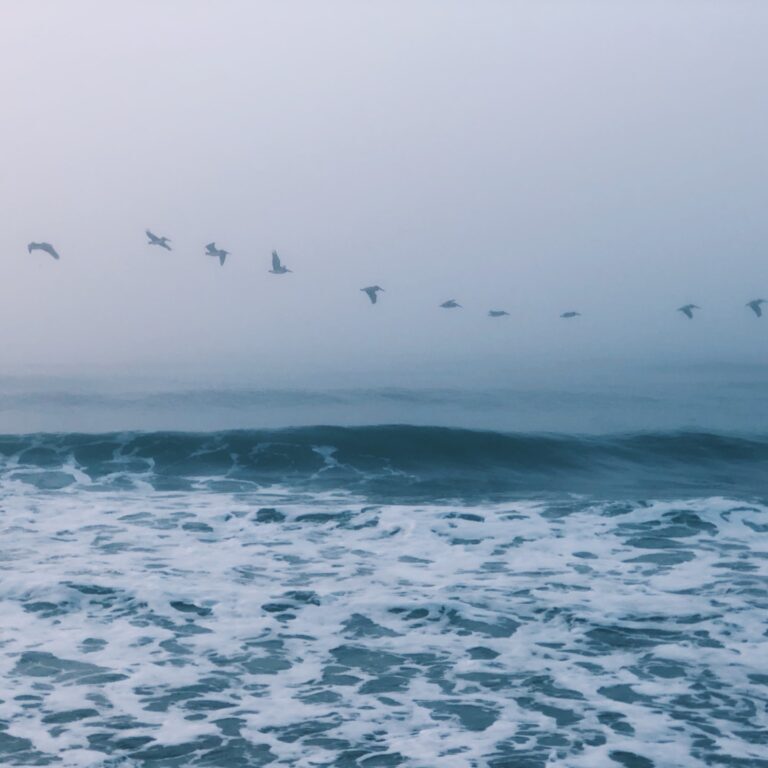 aaron-burden-7YiqRskXZ10-unsplash