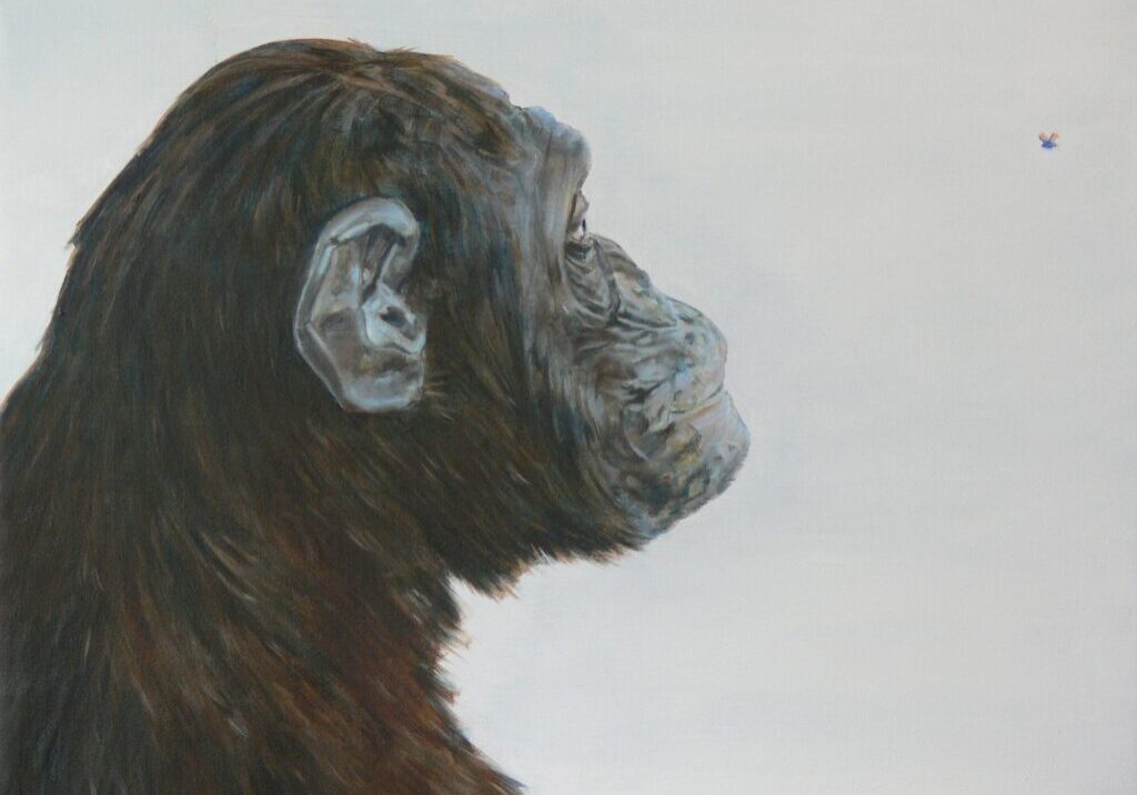 abe-60x80-2008