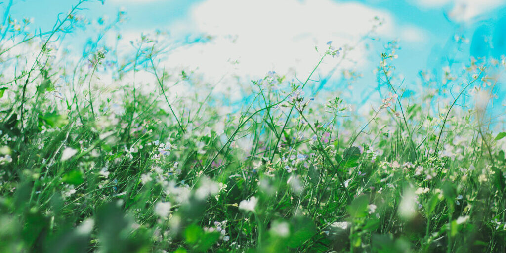allef-vinicius-unsplash