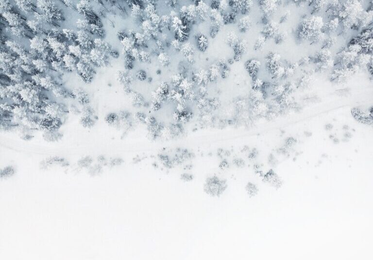 gabriel-alenius-unsplash-2