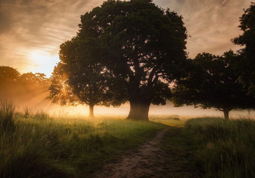 simon-wilkes-unsplash