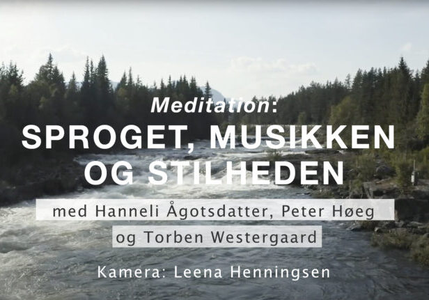 sproget_musikke _stilheden_cover yt